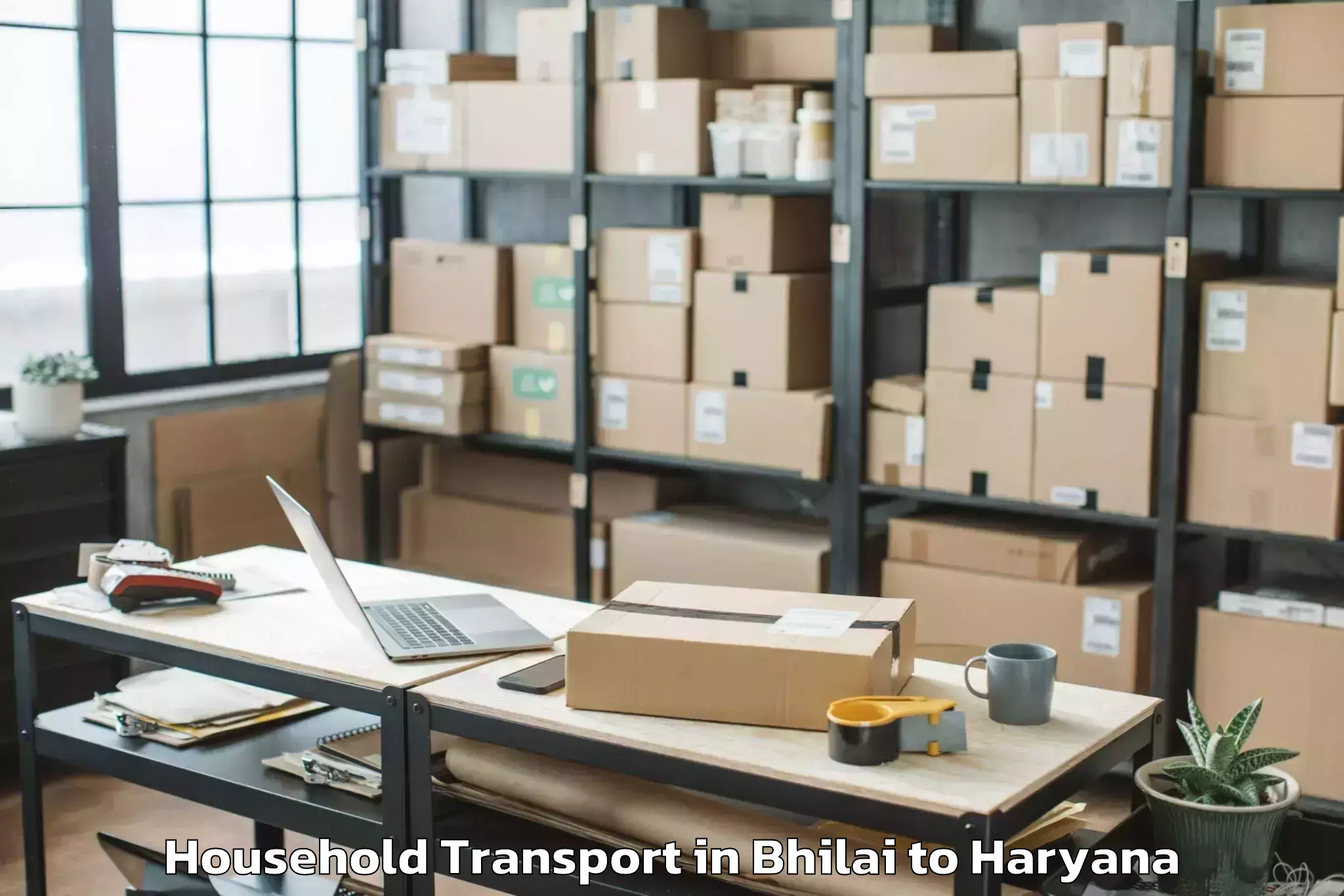 Efficient Bhilai to Kessel Mall Kurukshetra Household Transport